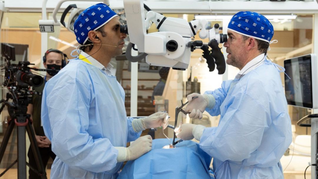 NeuroCS participa en Curso Internacional AO Spine 2026 realizado en Hamburgo