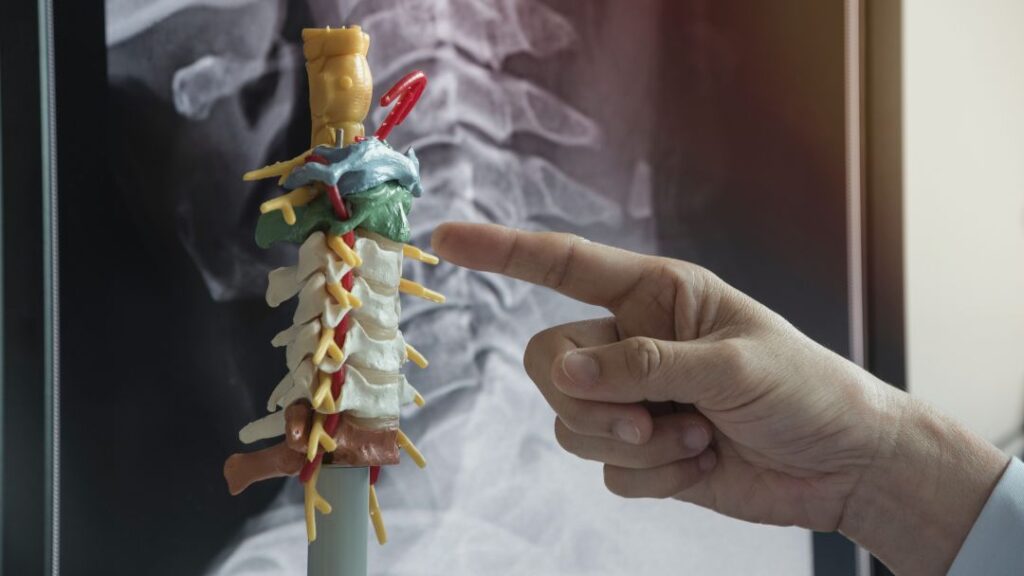 Columna cervical y riesgo de lesión tras un golpe en el cuello en el agua